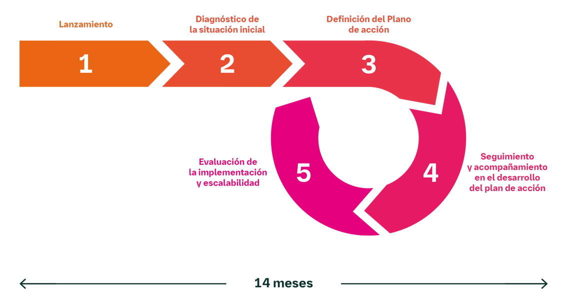 5 fases de desarrollo